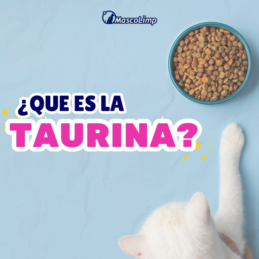 Taurina en gatos, qué es?