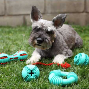 Juguete para perros BRNX! Anillo de goma