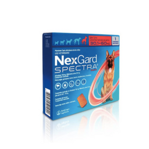 NexGard Spectra 30 a 60 Kg. (1 comprimido)