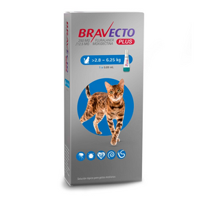 Bravecto plus antiparasitario gato 2,8 a 6,25 Kg.