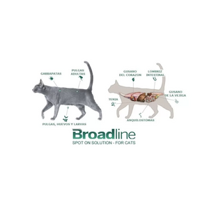 Pipeta Broadline para gatos de 2,5 a 7,5 KG.