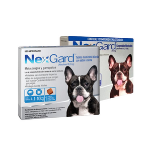 Nexgard - Antiparasitario masticable para perros de 4 a 10 kilos
