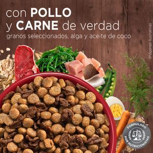 Purina One Cachorros - Pollo y Carne