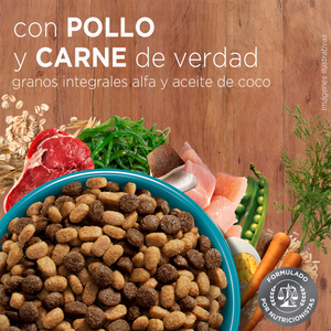Purina One Gatitos - Pollo y Carne
